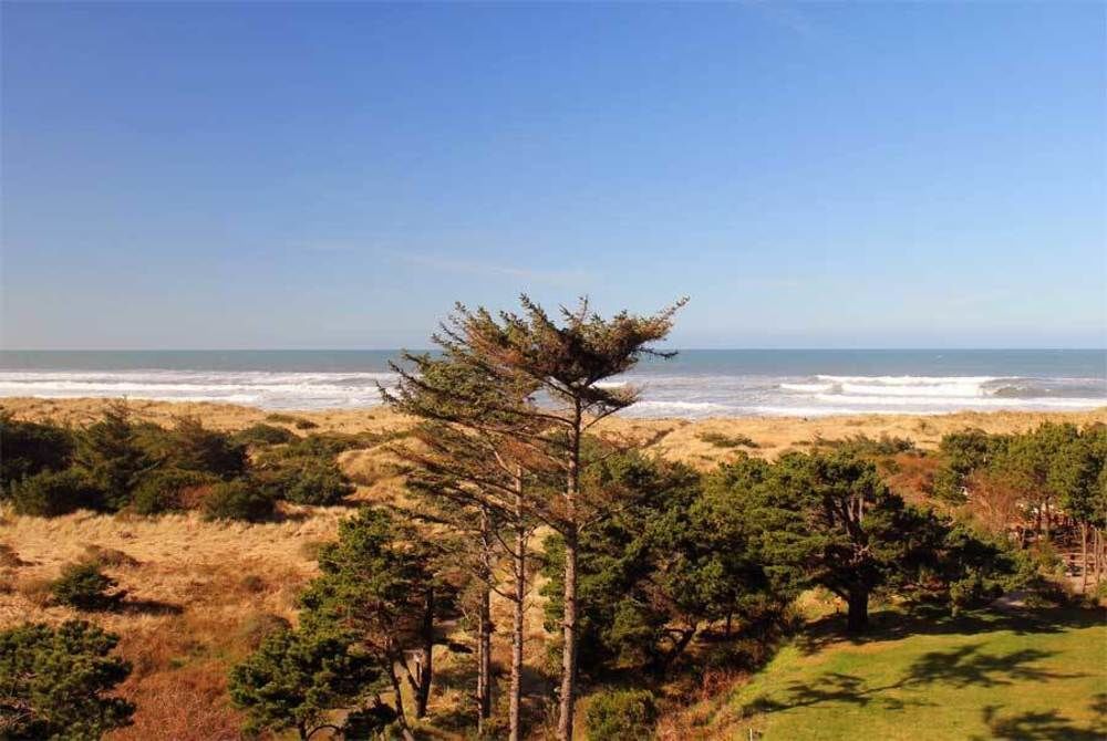 Gold Beach Inn Екстериор снимка